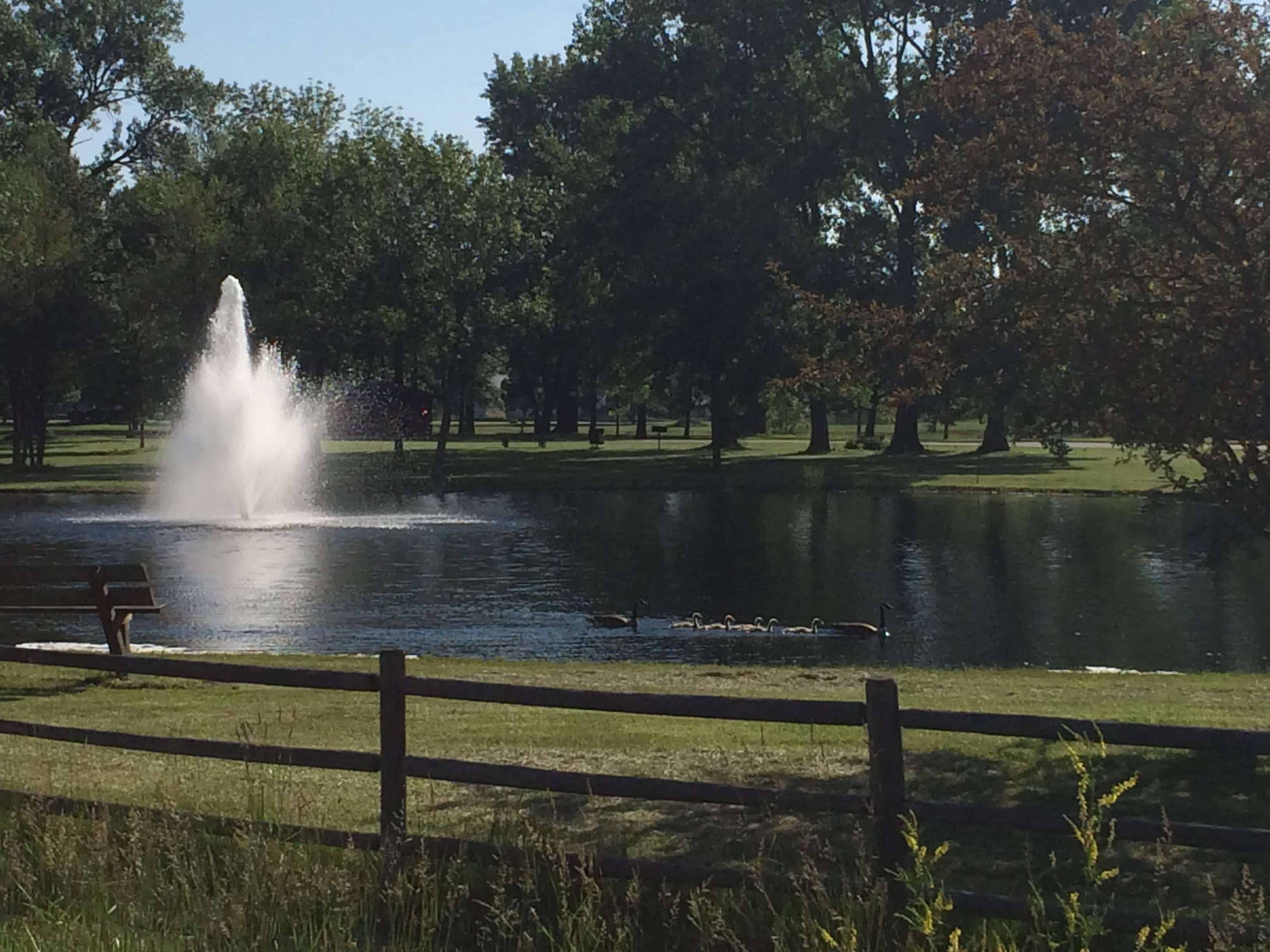 IMG_4328 Godley Park District