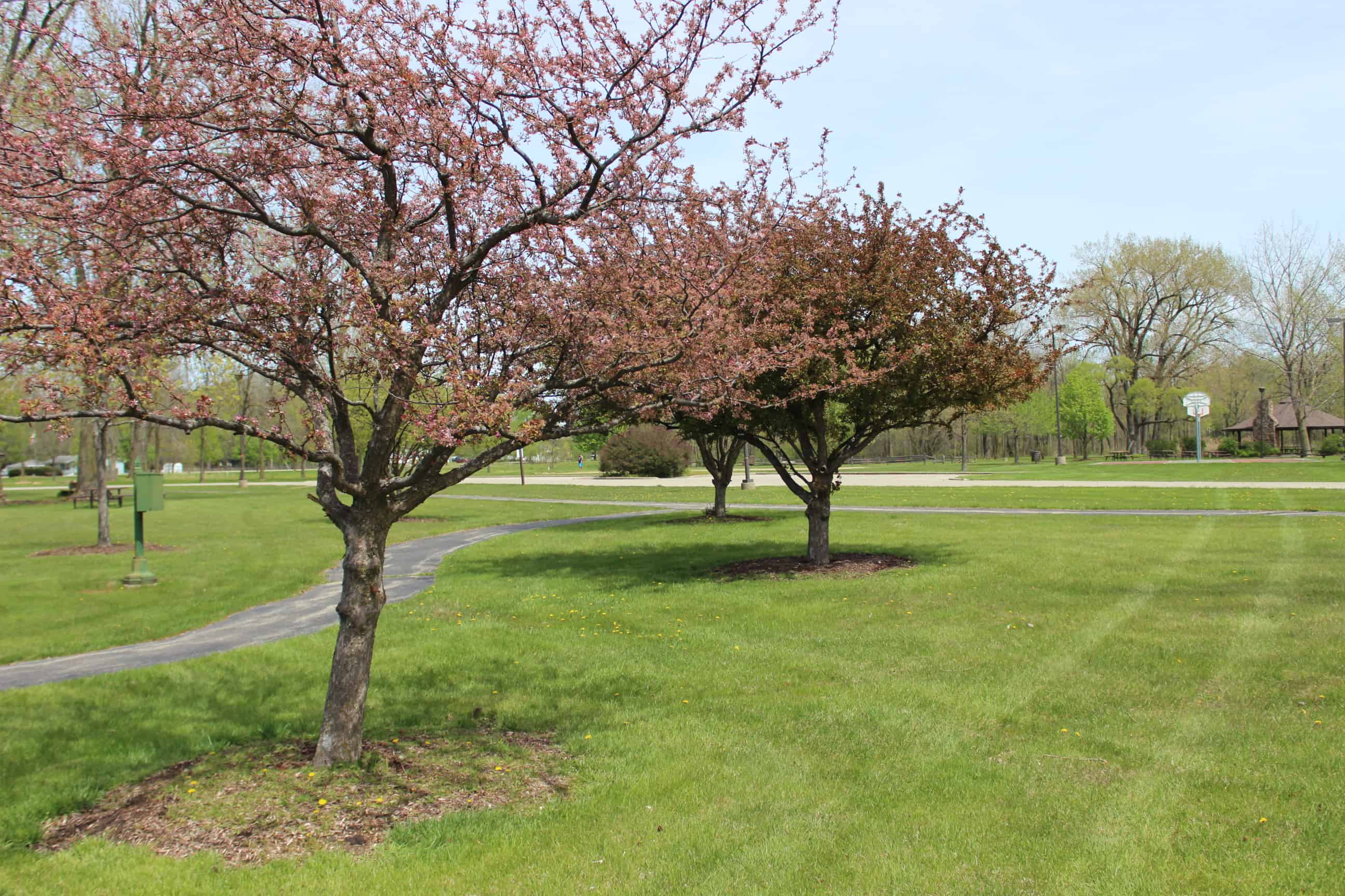 Spring Background Godley Park District